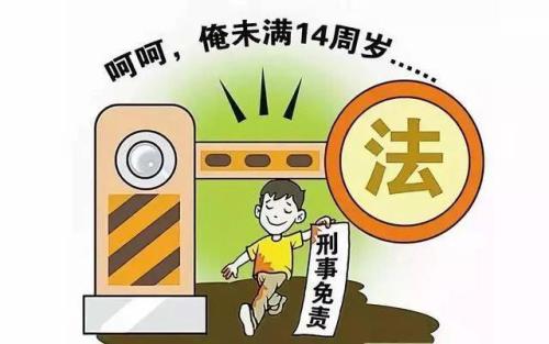 建議嚴管未成年人知法犯法！