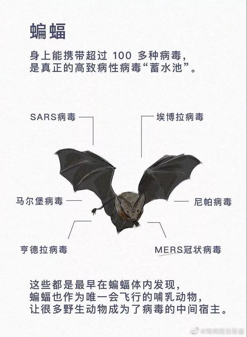這10道與疫情有關(guān)的作業(yè)題，你的孩子會如何作答？