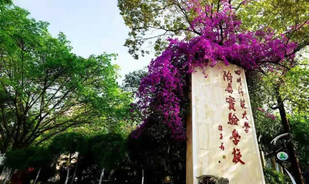 又一所官宣升級！成都一貫制學校有哪些了？